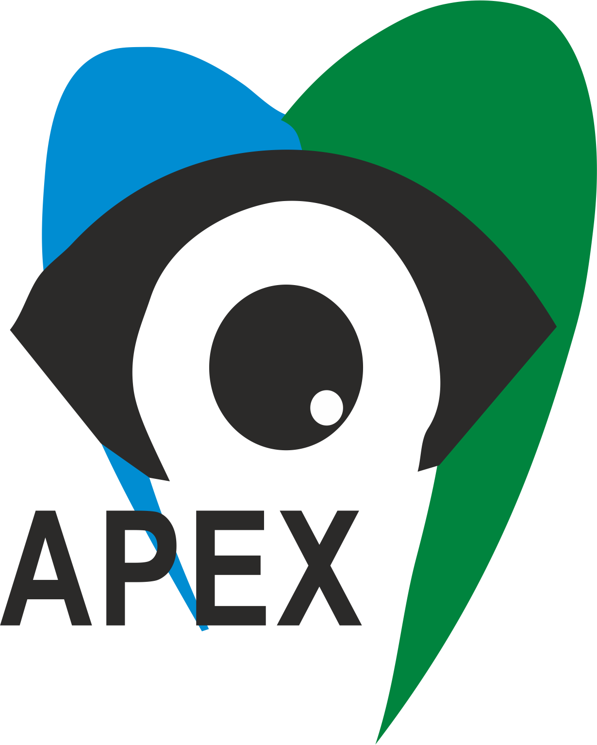 Apex Eye & Dental Hospital